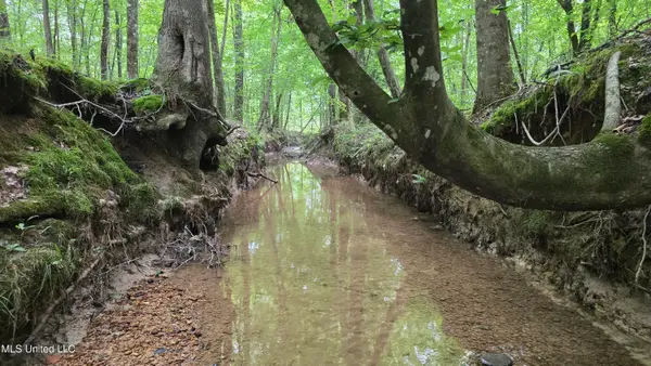 Pearson Road, Stewart, MS 39767