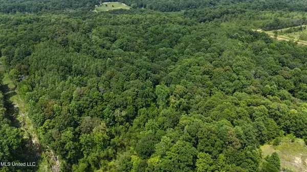 Pine Bluff Road, Cruger, MS 38924