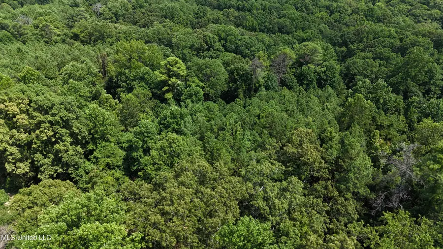 Pine Bluff Road, Cruger, MS 38924 - #2