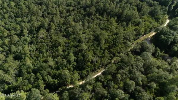 Old Kelly Rd Drive, Vancleave, MS 39565