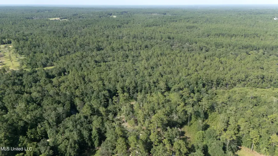 Old Kelly Rd Drive, Vancleave, MS 39565 - #3