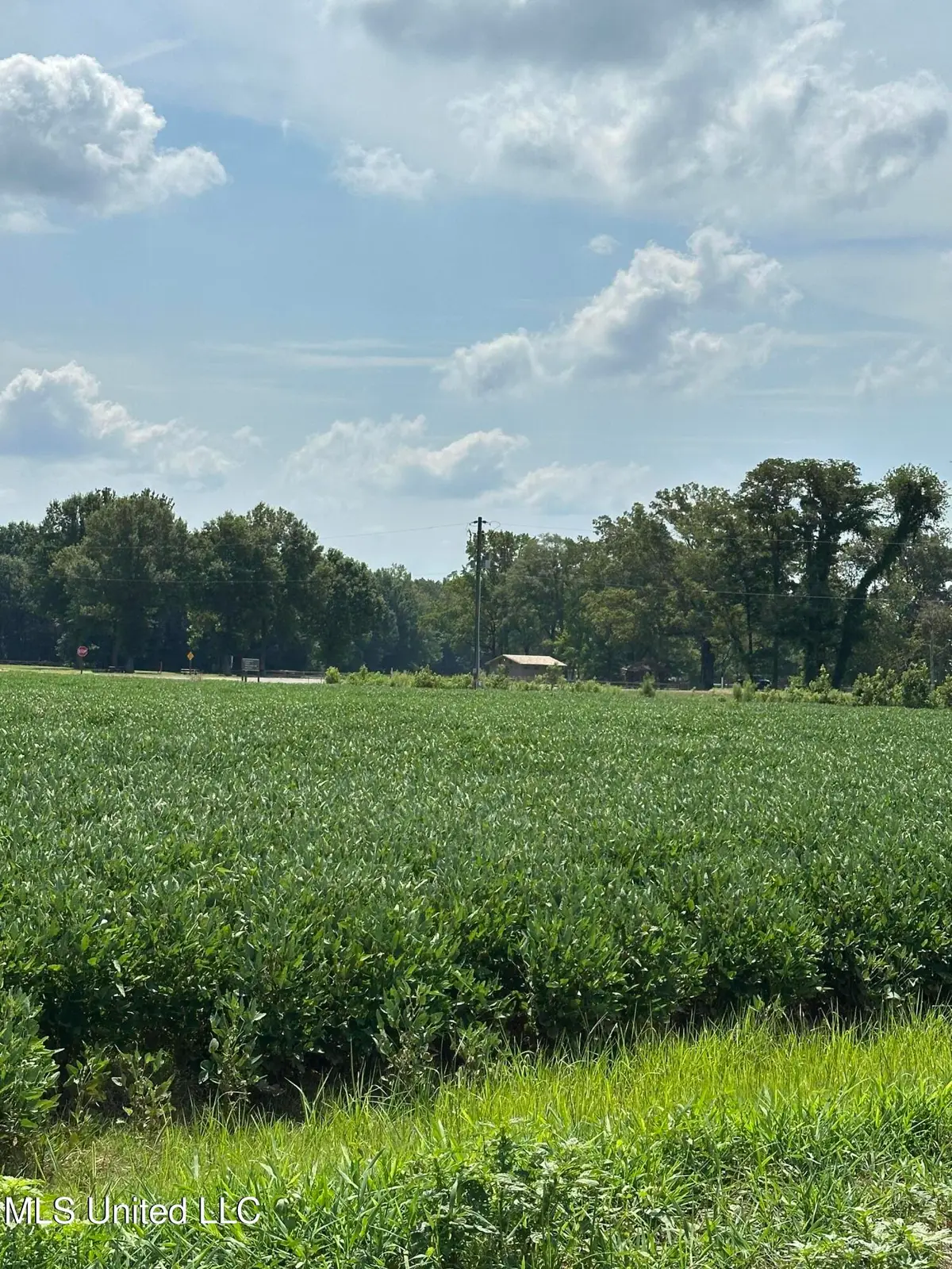 0000 Wheeler Road, Hernando, MS 38632 - Image #1