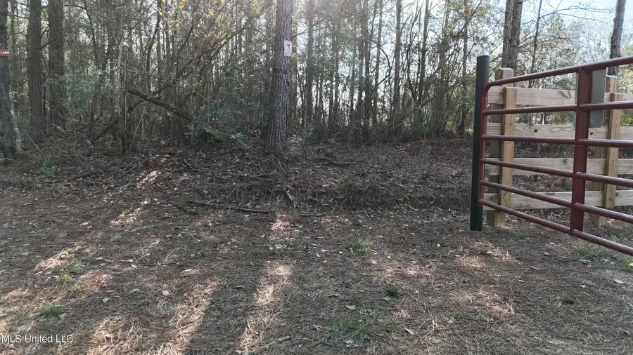 588 A Old Hwy 26, Perkinston, MS 39573 - Image #2