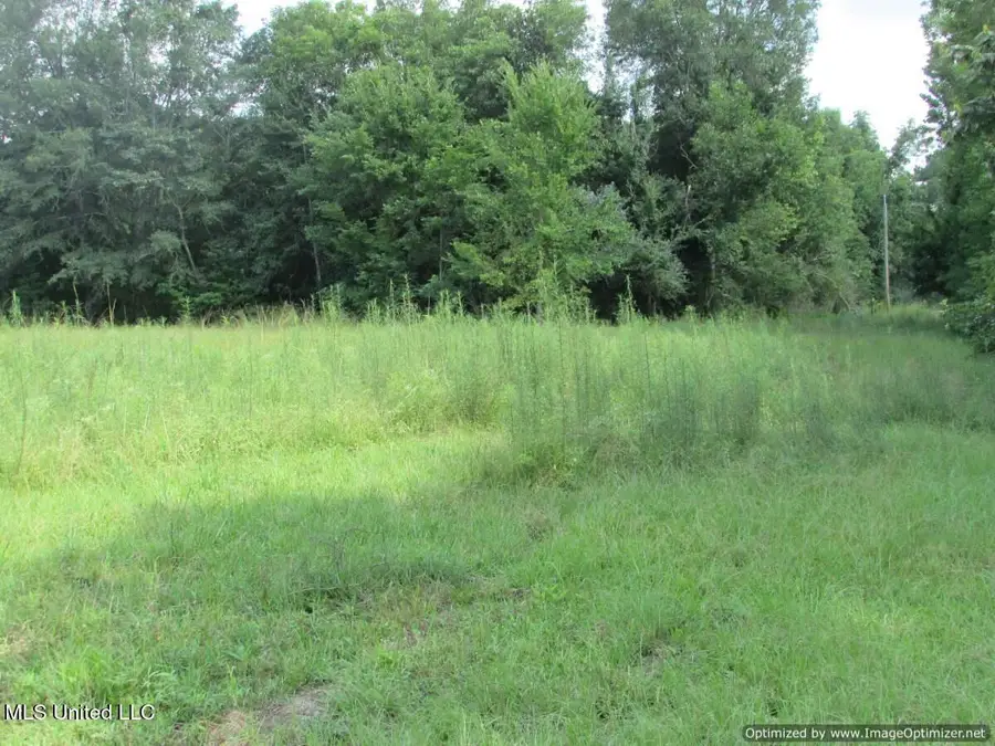 Smith Avenue Rd Road, Carthage, MS 39051 - #3
