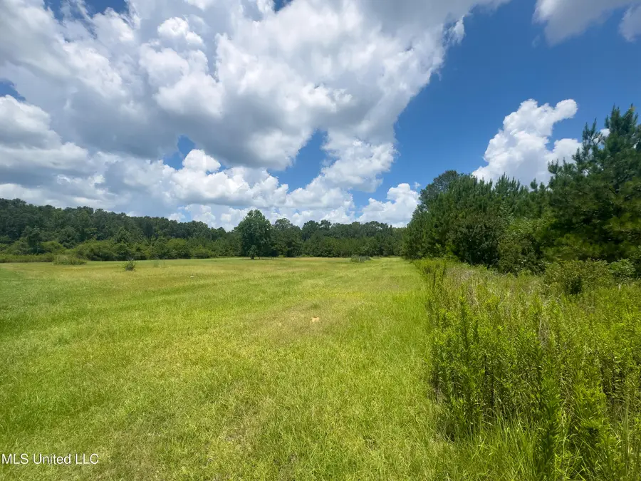 Ms-43, Poplarville, MS 39470 - Image #3