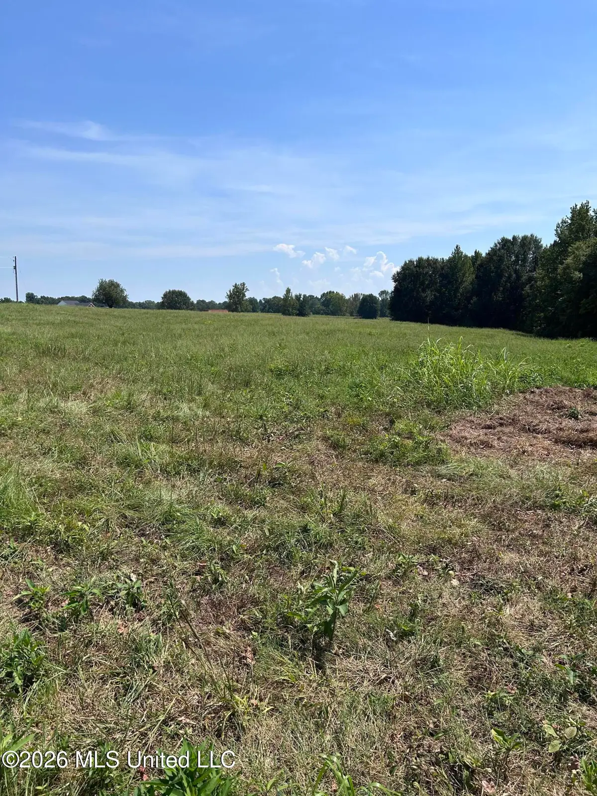 5 W Commerce, Hernando, MS 38632 - #1