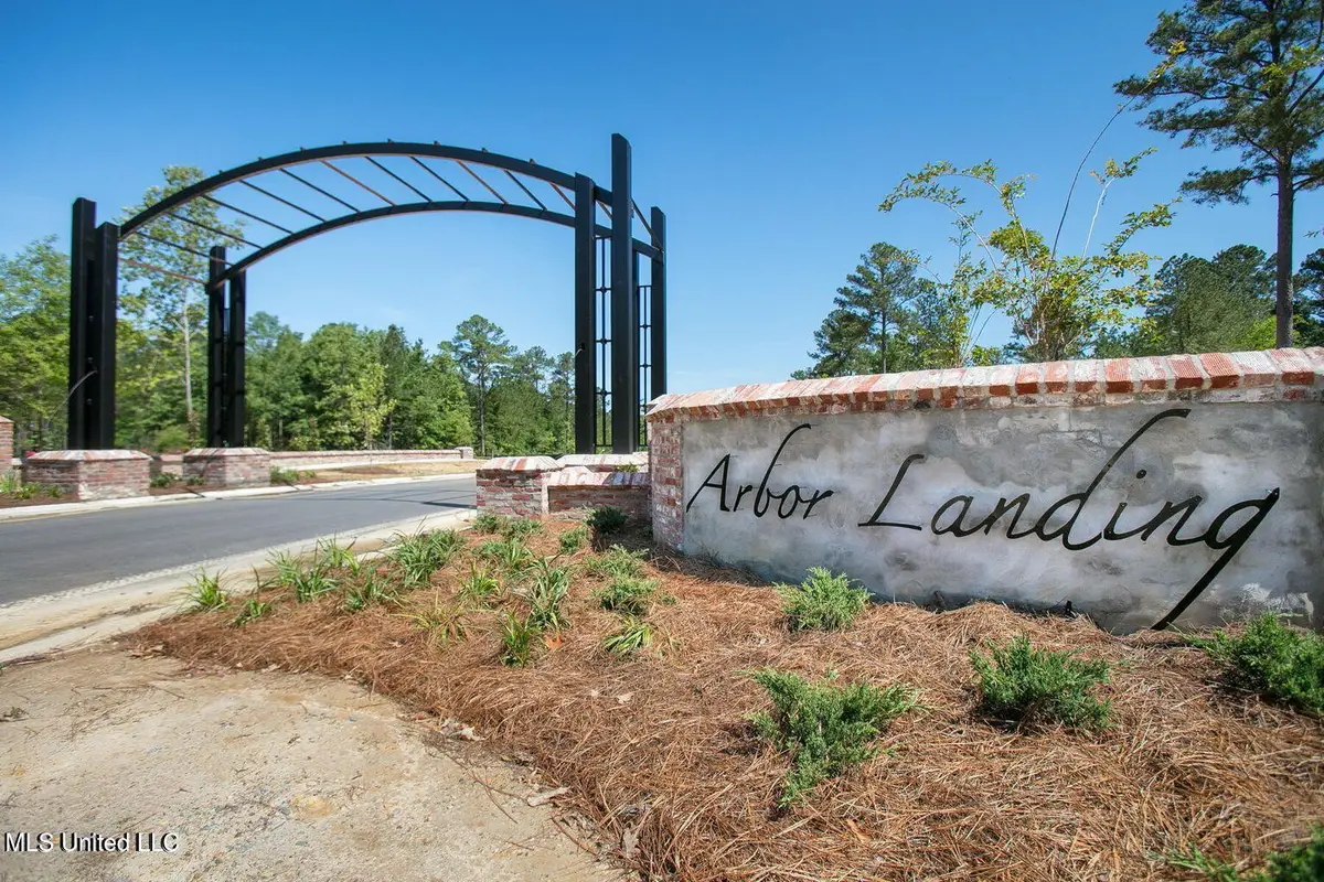176 Bald Eagle Drive, Brandon, MS 39047 - #1