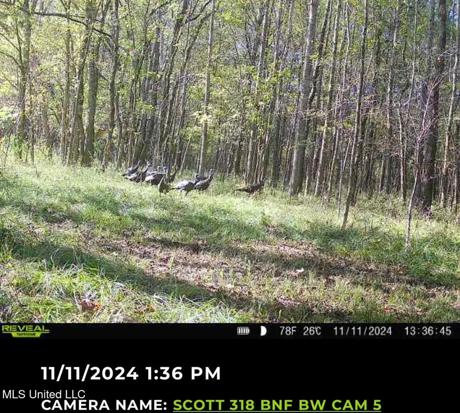 #3