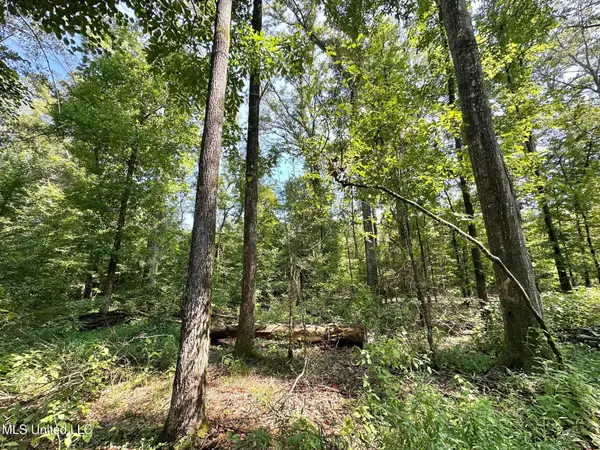 3 Prentiss Crump Road, Terry, MS 39170