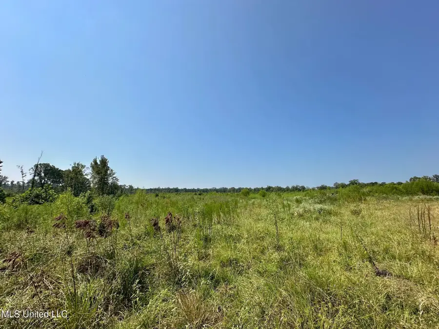 3 Prentiss Crump Road, Terry, MS 39170 - Image #3