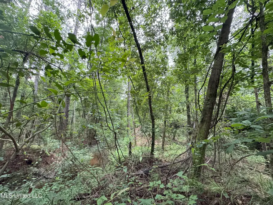 0-Cdt5 Louisiana Highway 442, Albany, LA 70711 - Image #2