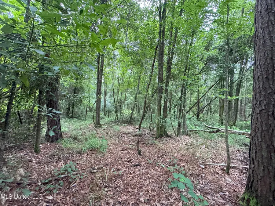 0-Cdt5 Louisiana Highway 442, Albany, LA 70711 - Image #3