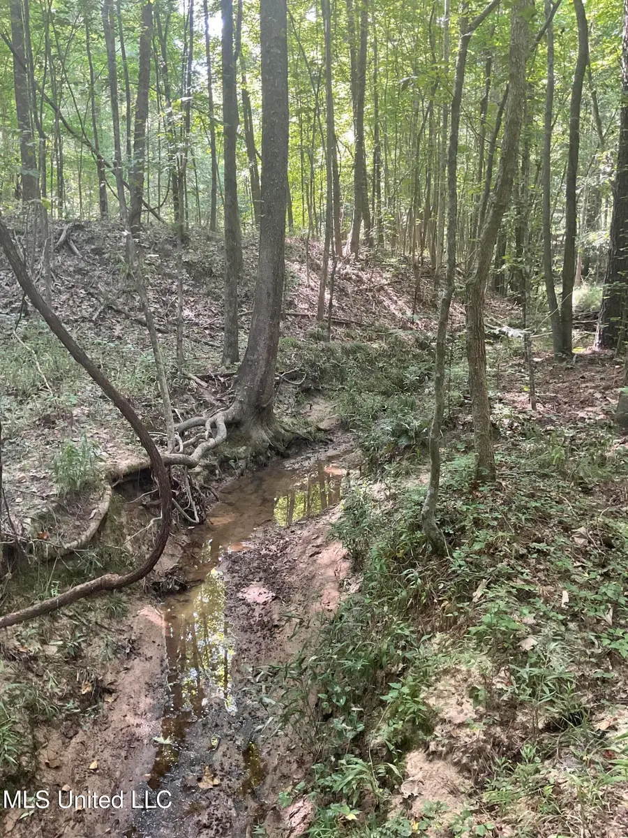 1277 Bar Ridge Drive, Edwards, MS 39066 - #3