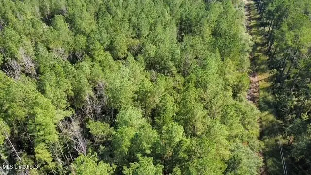 5464a Pecan Orchard Road, Liberty, MS 39645 - Image #2