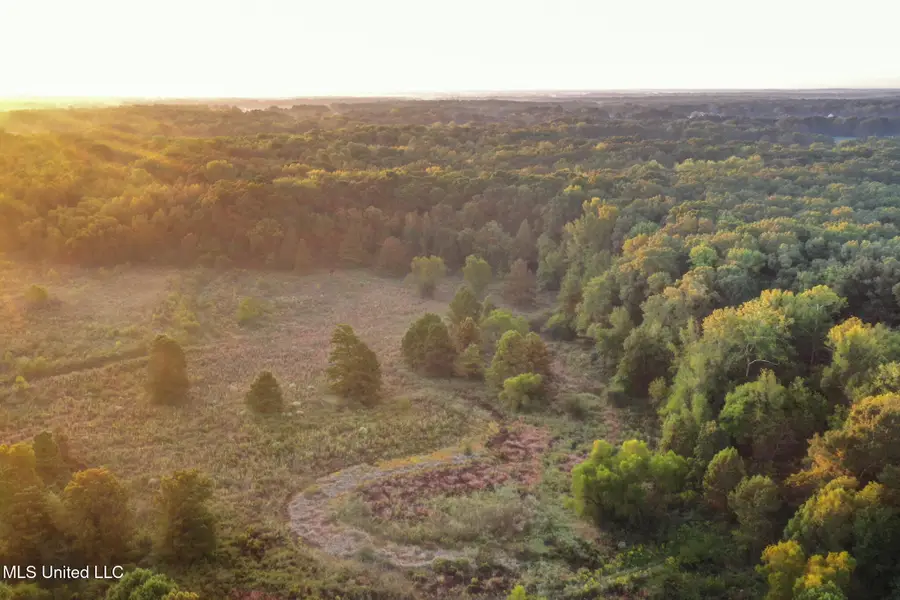 E Commerce Street, Hernando, MS 38632 - Image #2