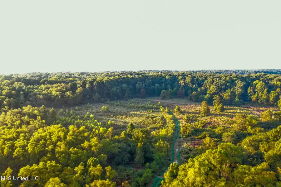 E Commerce Street, Hernando, MS 38632 - Image #3