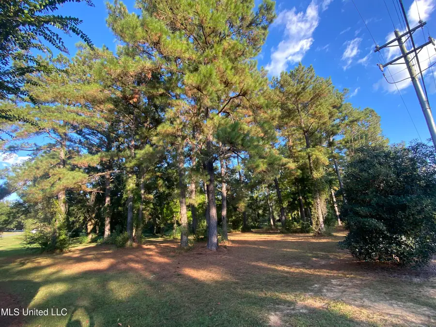 Woodland Dr Drive, Pass Christian, MS 39571 - Image #3