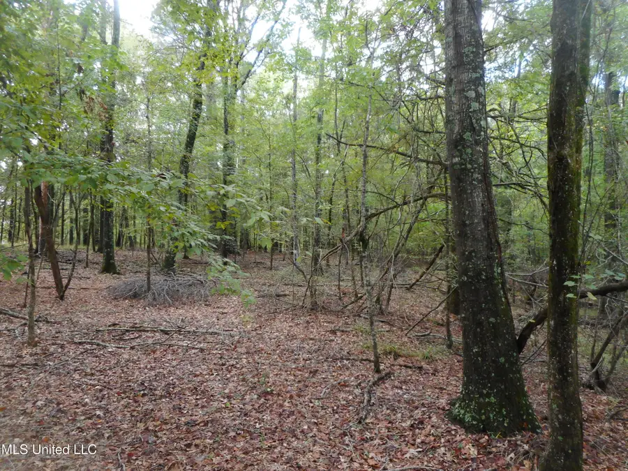 Anding Oil City Road, Bentonia, MS 39040 - Image #2