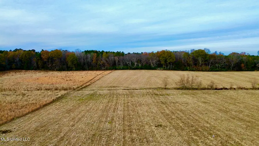 290 Robinson Road, Canton, MS 39046 - Image #3