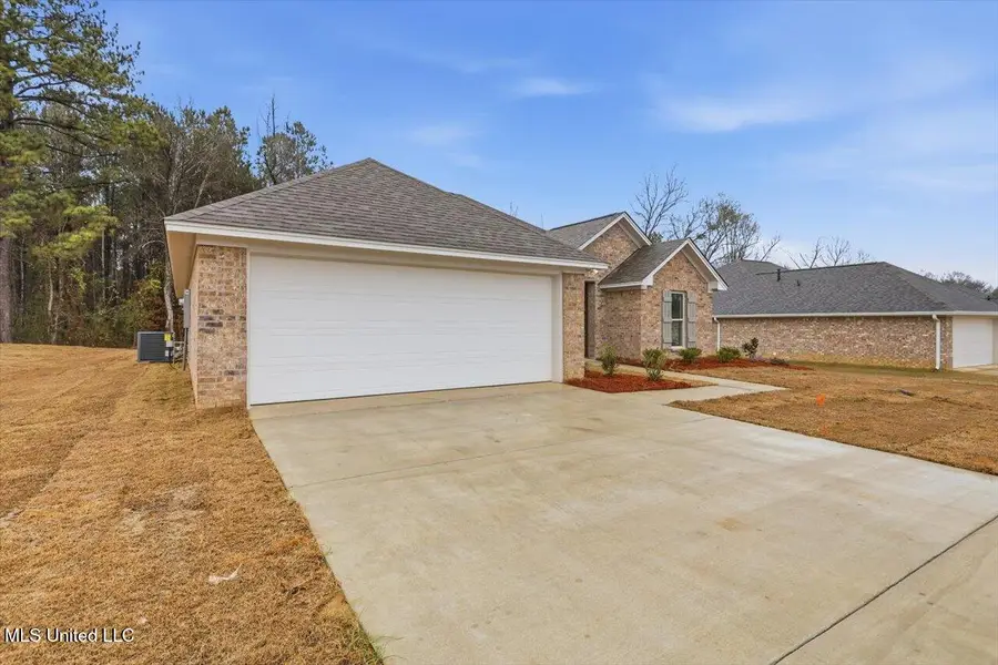 542 Patrick Farms Drive, Pearl, MS 39208 - #3