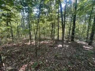 11402 Sequoyah Drive, Hernando, MS 38632