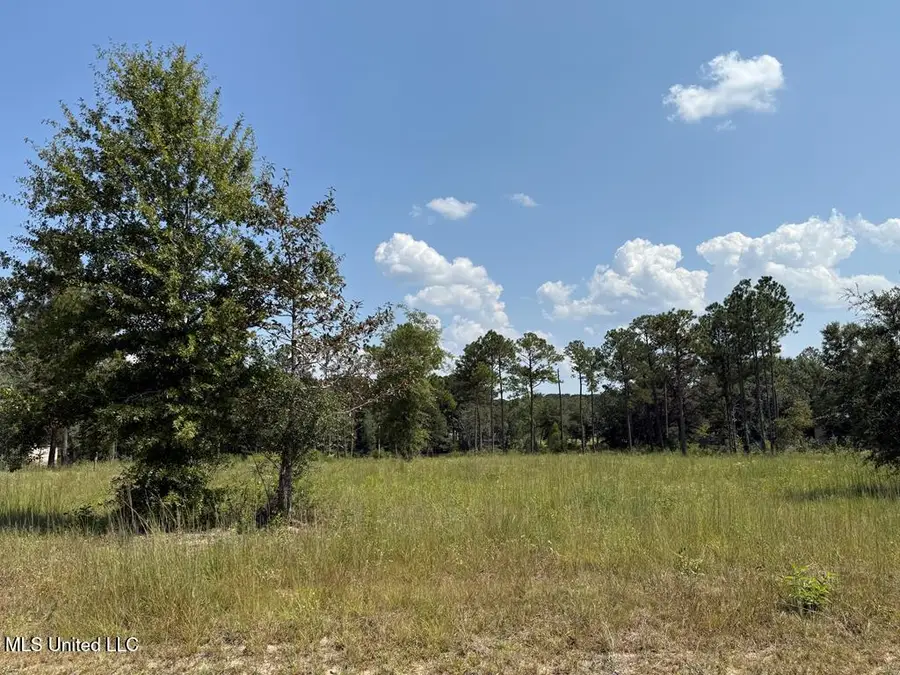 Cypress Place, Perkinston, MS 39573 - Image #3