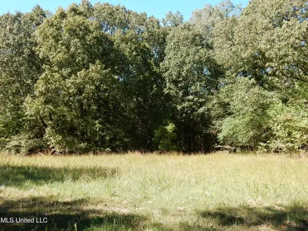 Lot 4 N Crockett Road, Senatobia, MS 38668