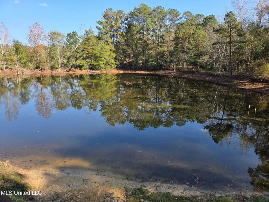 918 Spring Hill Road, Poplarville, MS 39470 - #2