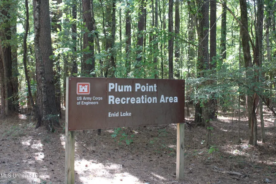 51 Connie Drive, Pope, MS 38658 - Image #3