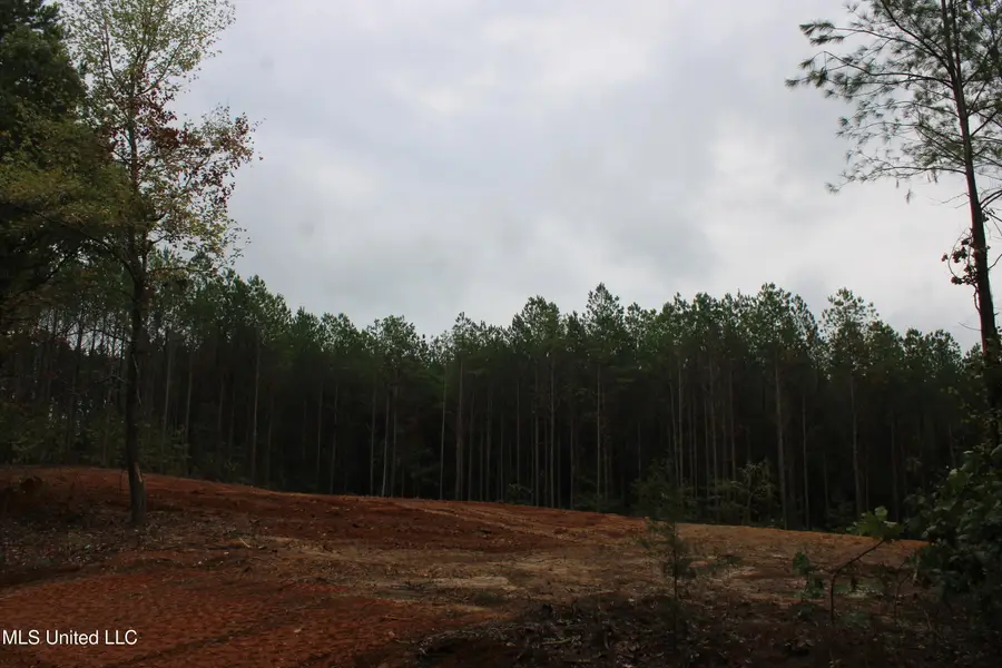 601 Co Rd 442, Oxford, MS 38655 - #2