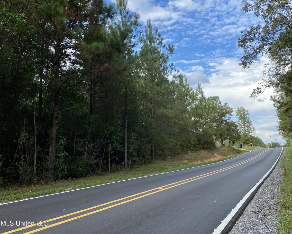 Liberty Road, Picayune, MS 39466 - #1