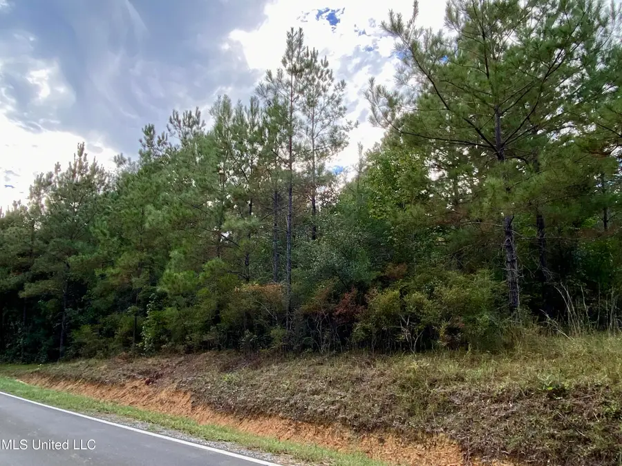 Liberty Road, Picayune, MS 39466 - #3