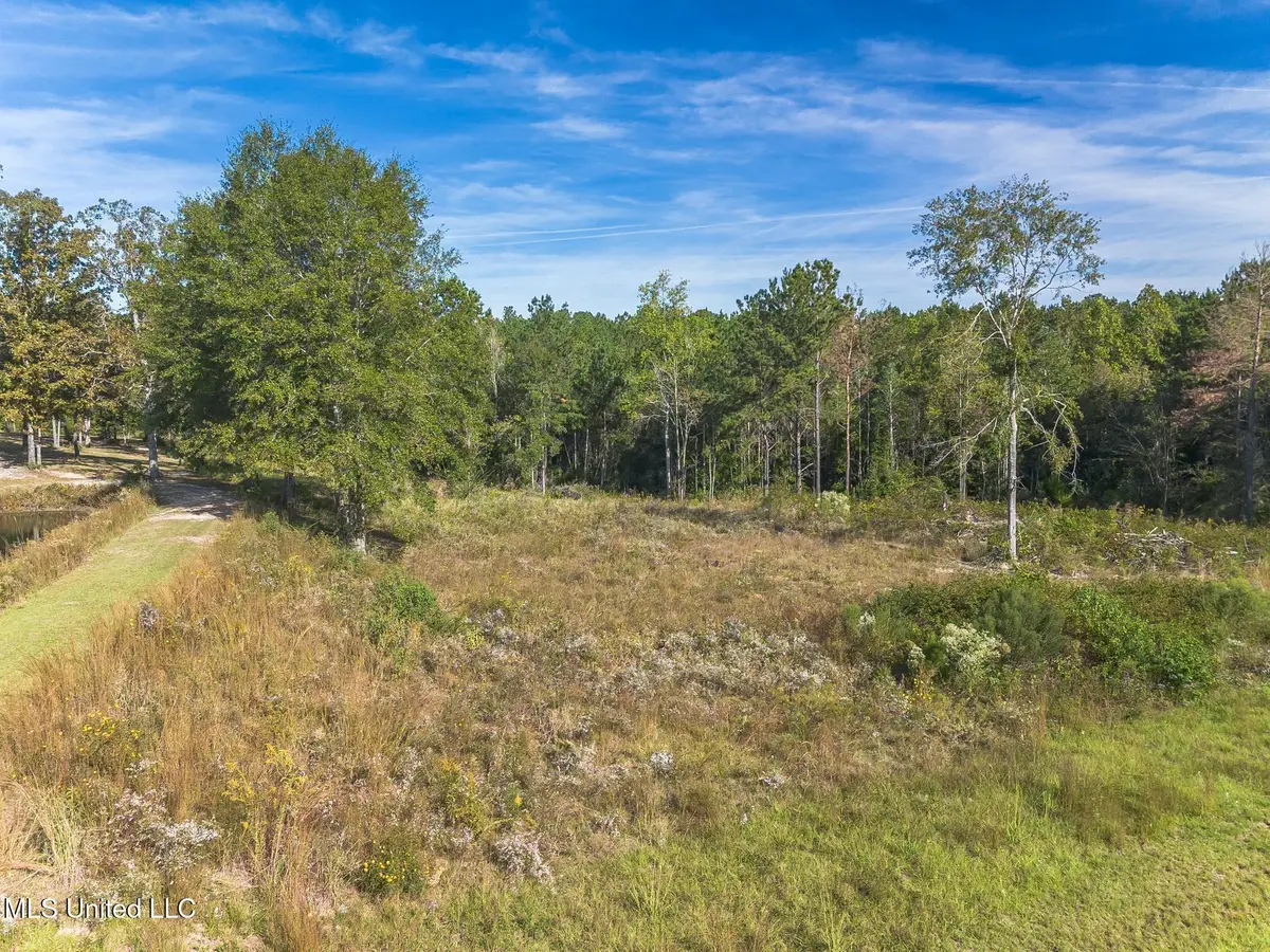 Winding Vale, Poplarville, MS 39470 - Image #1