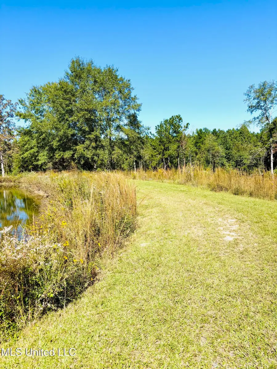Winding Vale, Poplarville, MS 39470 - Image #2