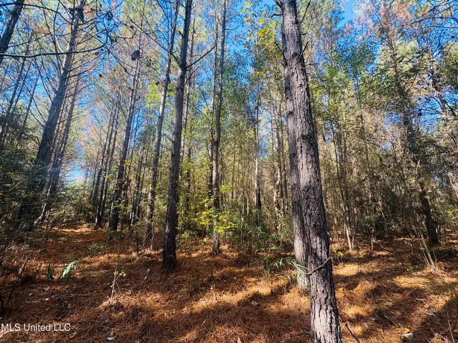 Old Avera Road, State Line, MS 39362 - Image #3