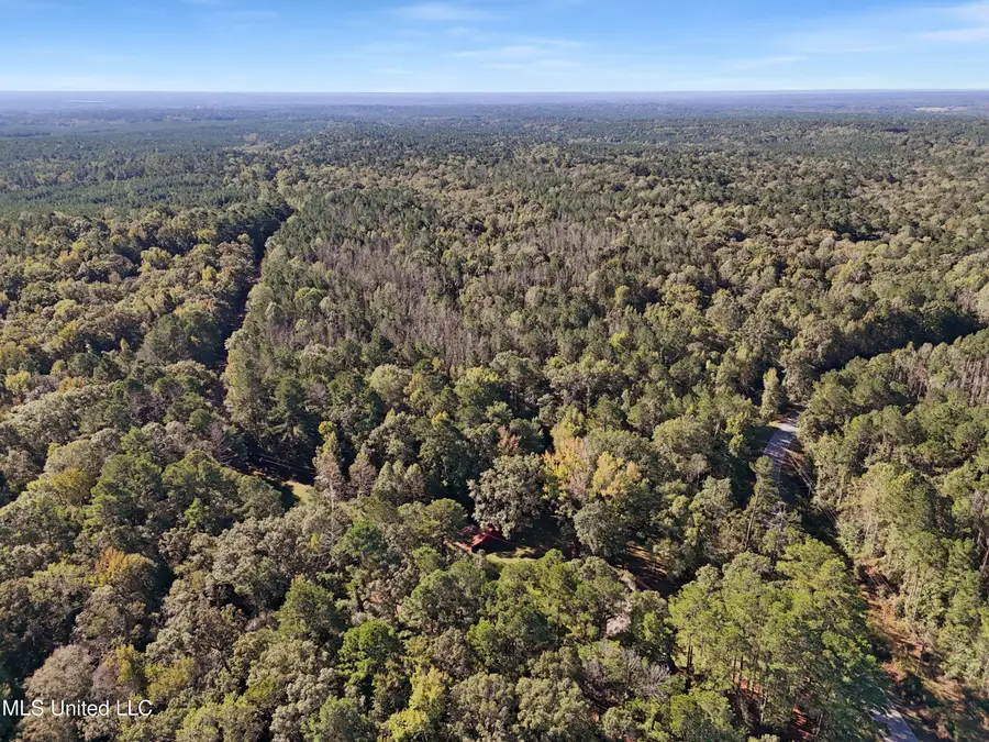 Union Church Road, Meadville, MS 39653 - #3