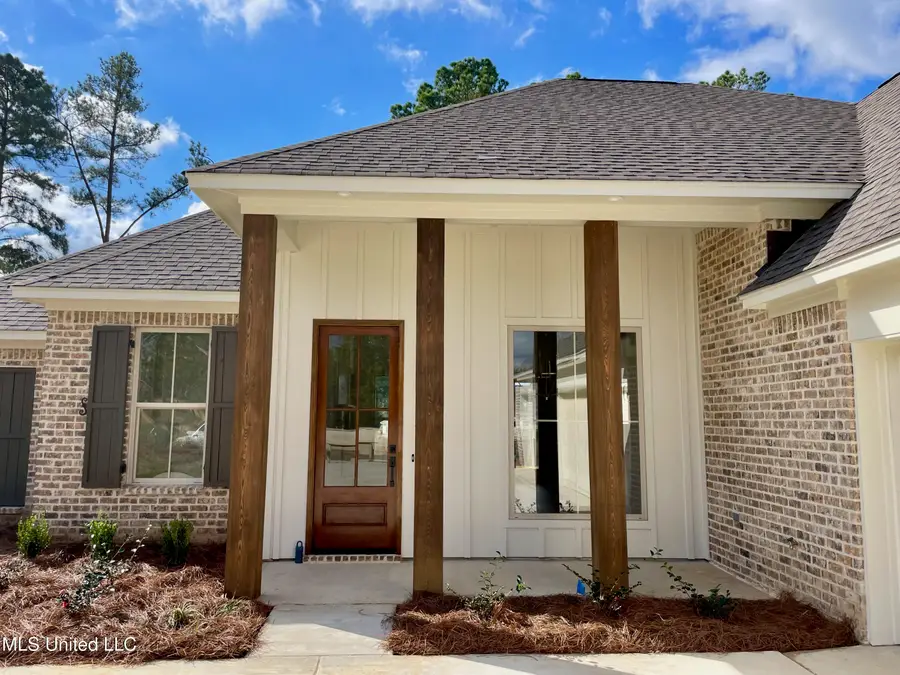 368 Wellstone Place, Madison, MS 39110 - Image #3