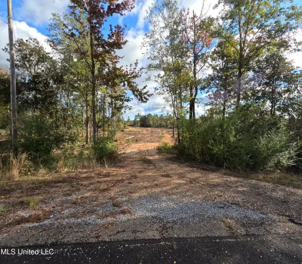 William Warren Road, Collins, MS 39428