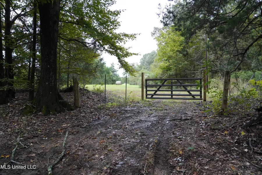 00 Phoenix Road, Satartia, MS 39162 - Image #2