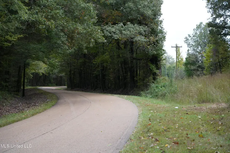 00 Phoenix Road, Satartia, MS 39162 - Image #3