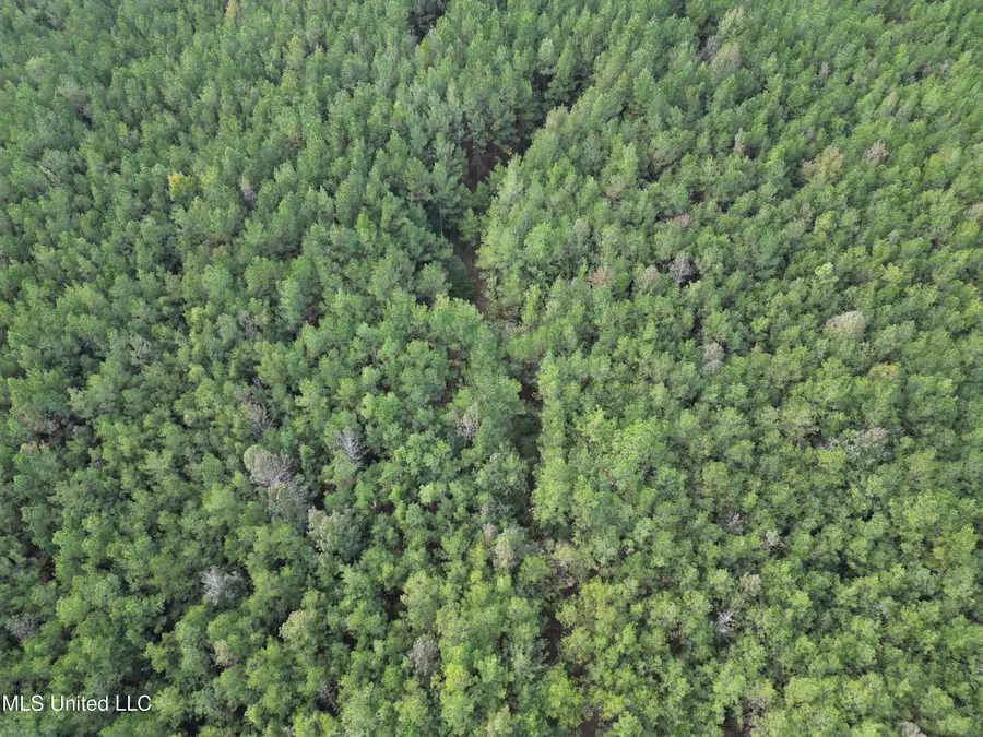 Red Water Road, Carthage, MS 39051 - Image #3