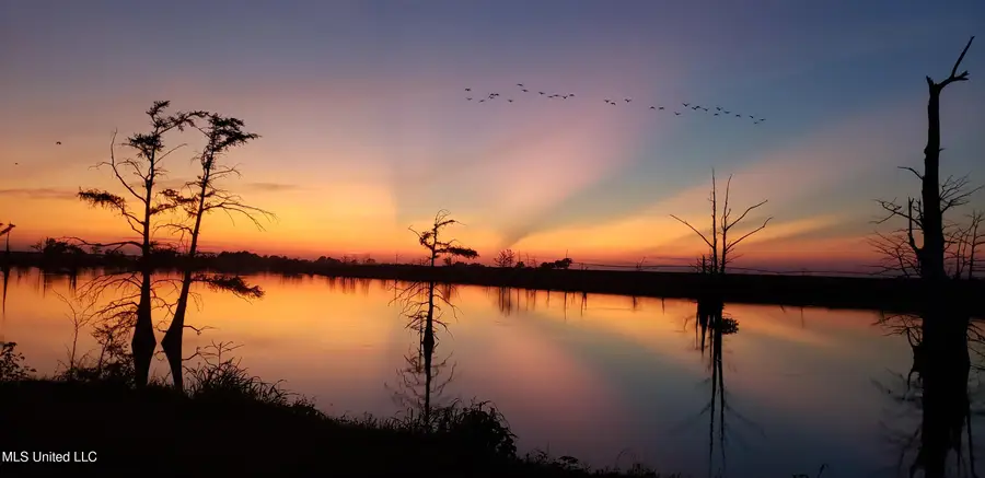 2422 Outside Horseshoe Road, Tchula, MS 39169 - Image #3