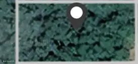 Walthall Street, Bay Saint Louis, MS 39520 - Image #1