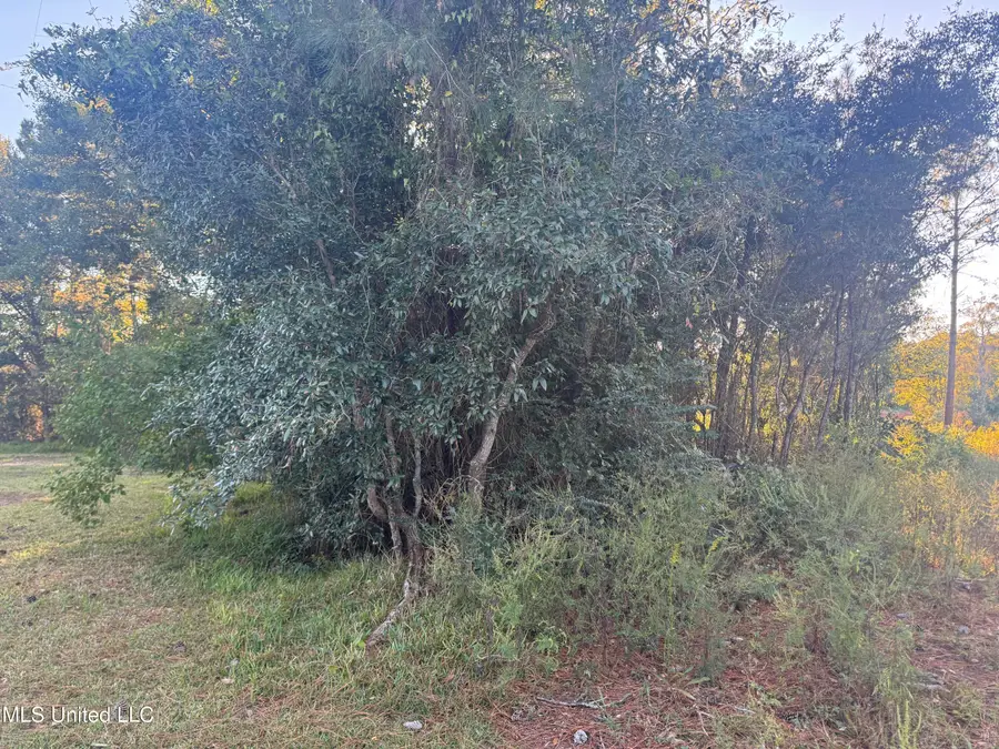 0 Eve Street, Waveland, MS 39576 - Image #2