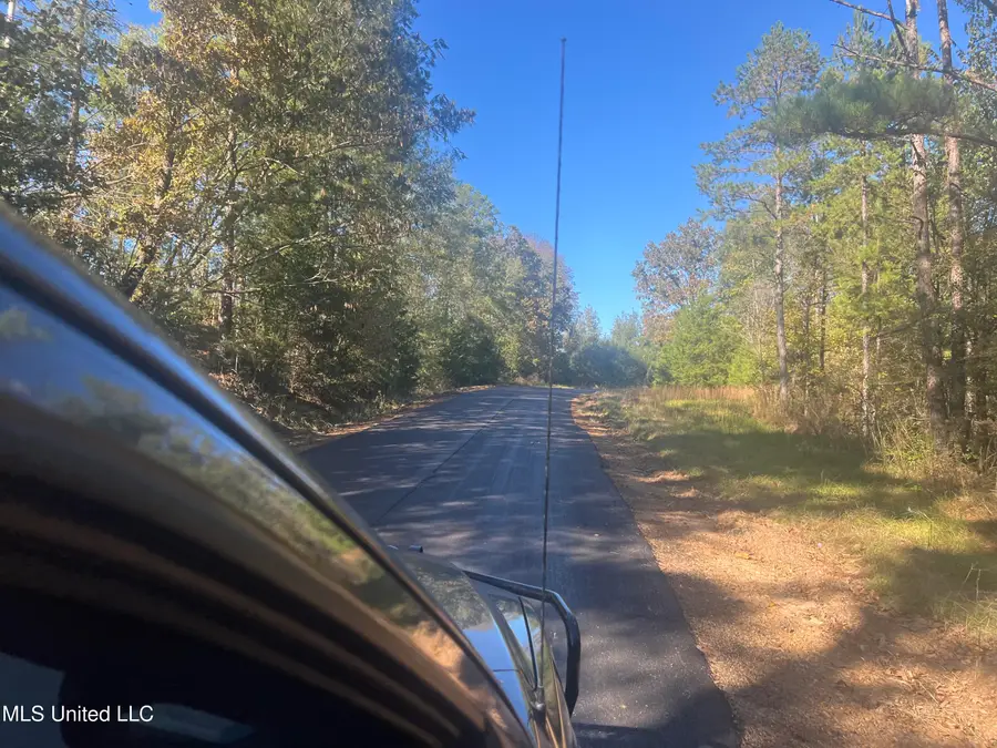 Long Branch Road, West, MS 39192 - Image #2