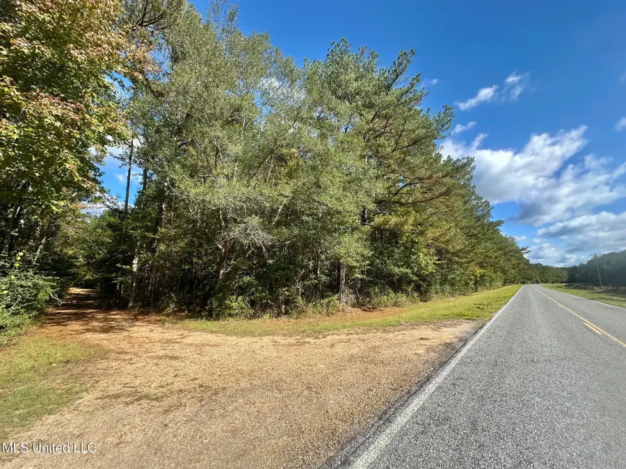 00 County Road 472, Pinola, MS 39149 - Image #3