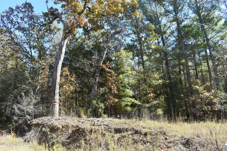 6400 Tate Marshall Road, Coldwater, MS 38618 - Image #2