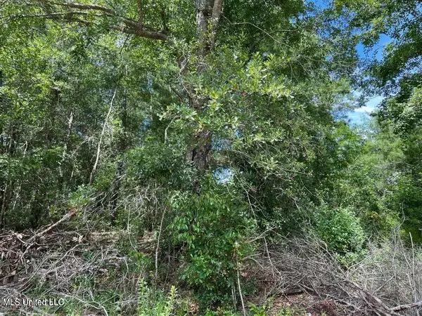 Sampras Boulevard, Vancleave, MS 39565