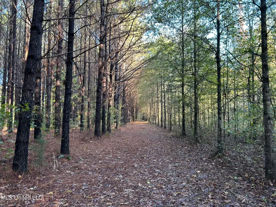 Lafayette Springs Road, Thaxton, MS 38871 - Image #3