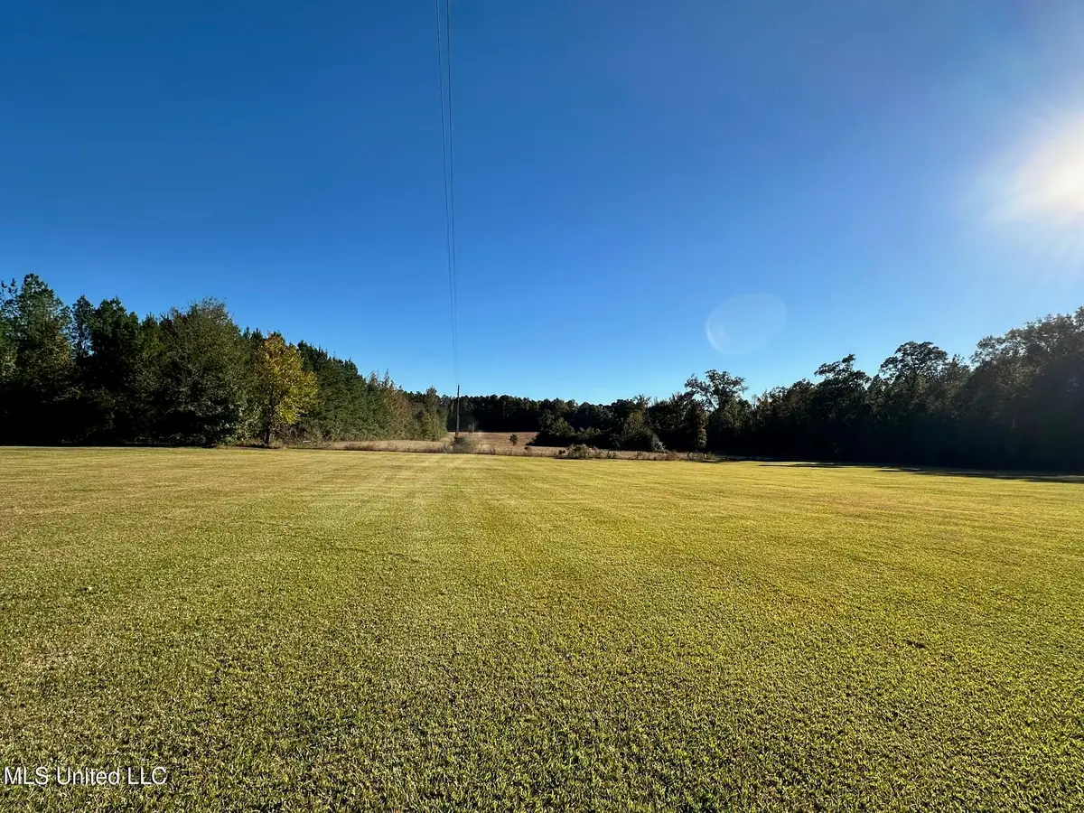Clara Foote Road, Braxton, MS 39044 - Image #1